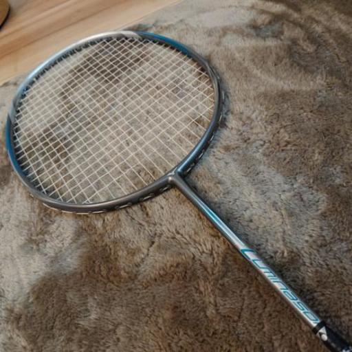 値下げしました ミズノ バドミントンラケット Www Vetrepro Fr