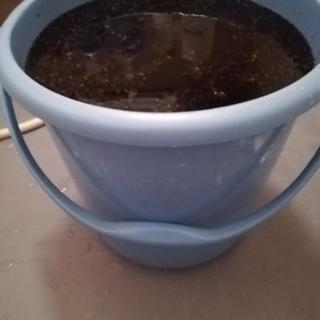 3 10で一旦終了 特価エアコンクリーニング ジモティー限定初回のみ2台で9980円 １台辺り4990円 エアコン掃除でカビ対策 お掃除の亀ちゃん 伊丹のその他の無料広告 無料掲載の掲示板 ジモティー