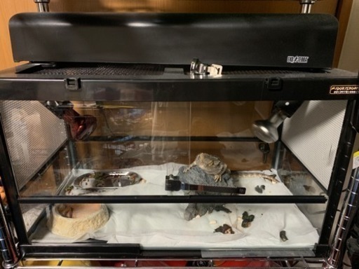 爬虫類飼育セット