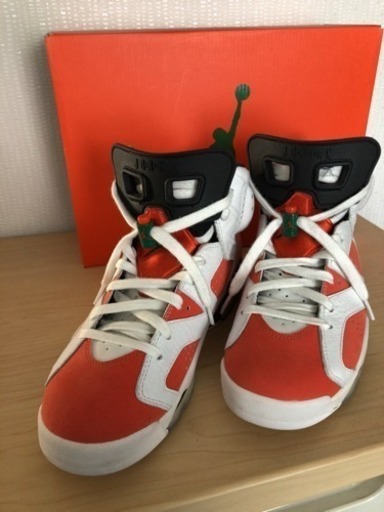 AIR JORDAN 6 ゲータレード