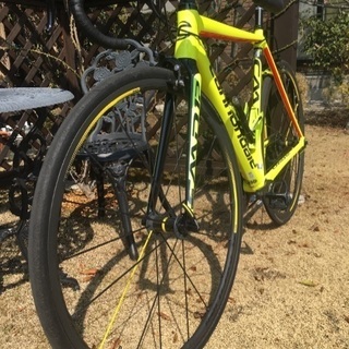 自転車 ロードバイク キャノンデールcaad12  52サイズ