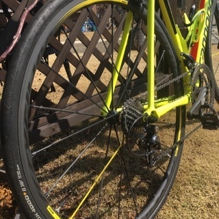 自転車 ロードバイク キャノンデールcaad12  52サイズ