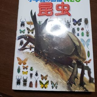 小学舘　昆虫図鑑