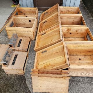 ミツバチ養蜂セット（中古）を売ります。