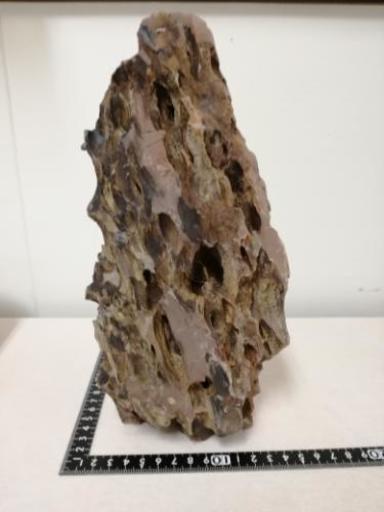 好評にて期間延長 気孔石 引き取り限定 魚用品 水草 好評にて期間延長 気孔石 引き取り限定 魚用品 水草