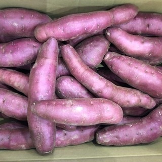 美味しい紫芋 1箱5キロ 
