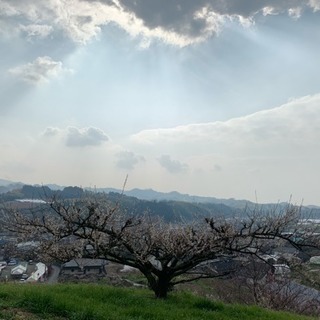 サイクリングの仲間募集しています。 − 福岡県