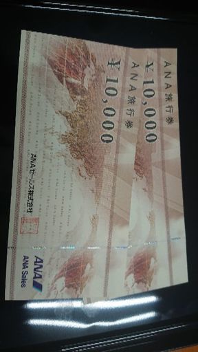 ANA旅行券 20000円分  期限間近！