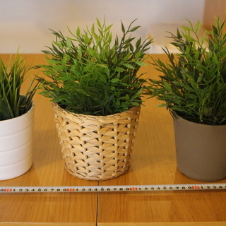 3/27まで！　IKEA 人工観葉植物+鉢カバー（10個セットあ...