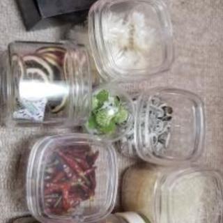 プリザーブド ドライフラワー花材いろいろ