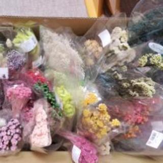 プリザーブド ドライフラワー花材いろいろ