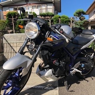 YAMAHA mt25 