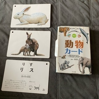 くもん自然図鑑「動物カード」