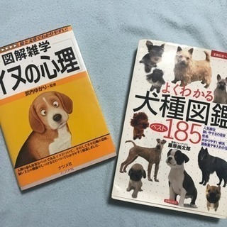 イヌの本セット