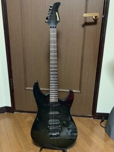 ギター フェルナンデス