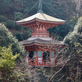 呉のランドマーク＜萬願寺＞境内で＜遺影写真の前撮り＞キャンペーン・・・終活の決定版 - 呉市