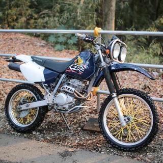 低走行！ XR250BAJA カスタム有り！