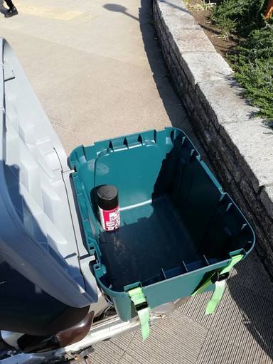 リトルカブ 即乗り可！自賠責付き！