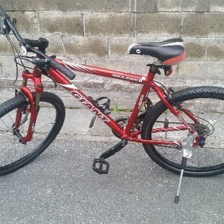 ジャイアント　マウンテン