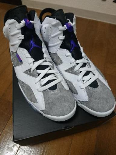 NIKE AIR JORDAN6 FLIGHT NOSTALGIA ジョーダン6  28.5cm