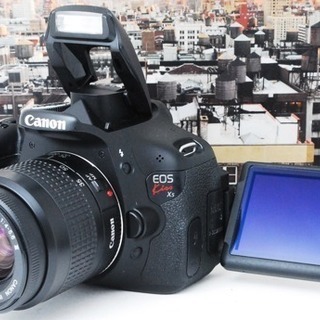 ★ショット数4351★極上★簡単自撮り★付属品ほぼ完備★キャノン kiss X5 ゆうパック代引き発送！送料、代引き手数料無料！