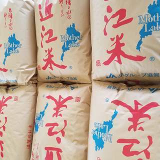 滋賀県高島市産 コシヒカリ 新米 10kg R2年収穫