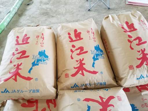 滋賀県高島市産 コシヒカリ 新米 20kg R2年収穫