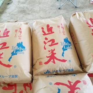 滋賀県高島市産 コシヒカリ 新米 20kg R2年収穫