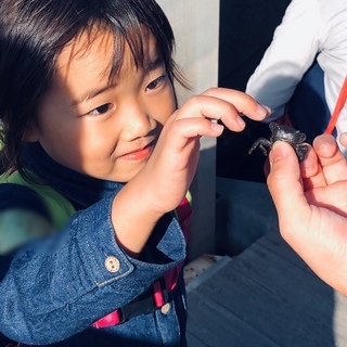 春休み初日、親子向けの日帰り・磯あそびイベントを銚子で開催。 約...