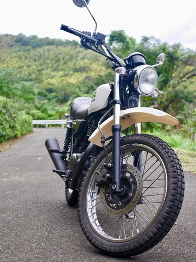 【250ＴＲ】　ＫＡＷＡＳＡＫＩ　カワサキ　希少キャブ車　快調！！　【値引き交渉あり】