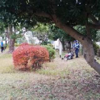 庭木の手入れ エクステリア 外構工事 承ります さと造園 上溝の植木 庭木植え替えの無料広告 無料掲載の掲示板 ジモティー 庭木の手入れ エクステリア 外構工事 承ります さと造園 上溝の植木 庭木植え替えの無料広告 無料掲載の掲示板 ジモティー