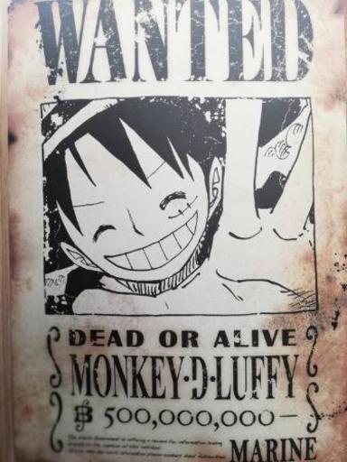 ワンピースファン必見 手配書 京都麦わら道中記 もうひとつのワノくに まこ 美濃加茂のマンガ コミック アニメの中古あげます 譲ります ジモティーで不用品の処分