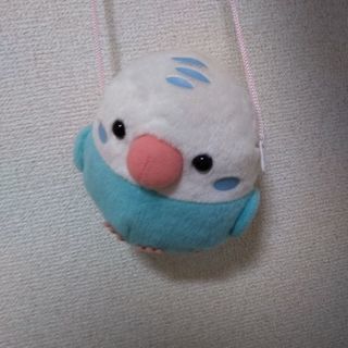 インコ ケース