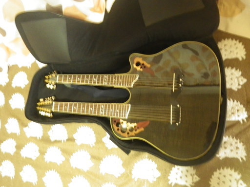 Ovation　Wネック・ギター