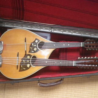 HEAD CYCLIC115 パウダーバックカントリー TYROLIA