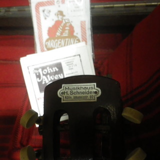 Wネック・マンドリン