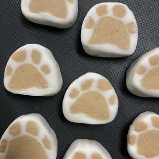 肉球🐾のデコもち作ってみませんか？