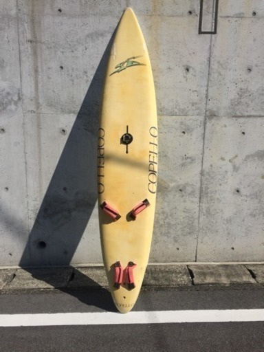 Amazon | BIC SPORT(ビックスポーツ) Sail One Design 5,8