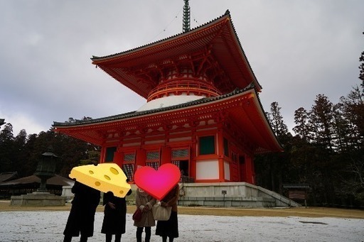 桜の名所や関西の観光地へ日帰り旅行 地方出身であつまっているサークルです あらん 大阪の友達のメンバー募集 無料掲載の掲示板 ジモティー