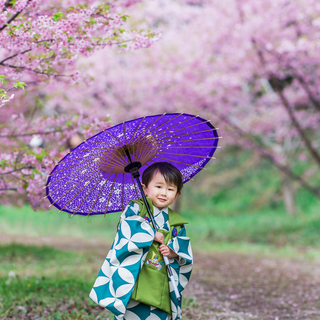 桜の季節がやってくる！浜松市でロケーション撮影しませんか！？