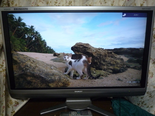 ◇シャープ37型テレビ 37ES50 ♪フルハイビィジョンできれい。☆1週間の動作保証します。