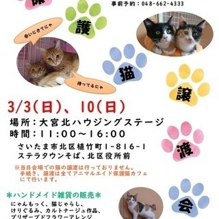 ★本日開催！保護猫の出張譲渡会＆チャリティー販売会★