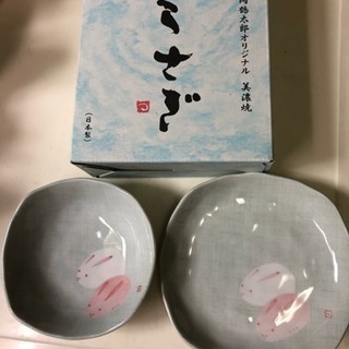 美濃焼2枚皿セット 片岡鶴太郎オリジナル 新品