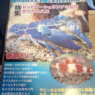 ザリガニ雑誌 中古