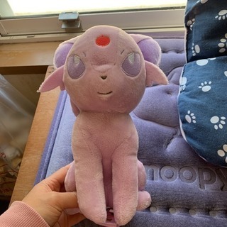 中古エーフィが無料 格安で買える ジモティー