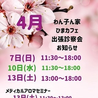 ４／１０（水）わん子ん家ひまカフェ出張診察会