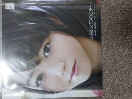 峯岸　みなみ 2012 TOKYOデートカレンダー CL-431 AKB-011