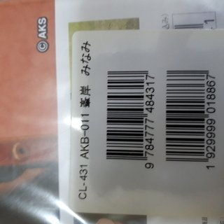 峯岸　みなみ 2012 TOKYOデートカレンダー CL-431 AKB-011
