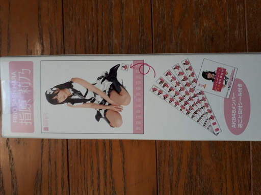 指原 莉乃 AKB48 2012 ポスタータイプカレンダー AKB-107　【未開封】