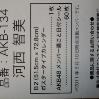 河西　智美 AKB48 2012 ポスタータイプカレンダー AKB-134　【未開封】